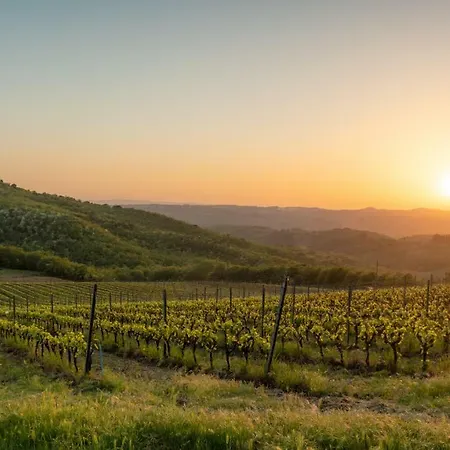 Poggio Al Sole Badia A Passigano